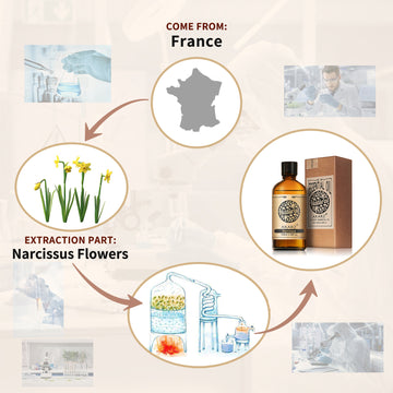 Grapefruit Essential Oil AKARZ Natural And Pure (30ML 100ML )